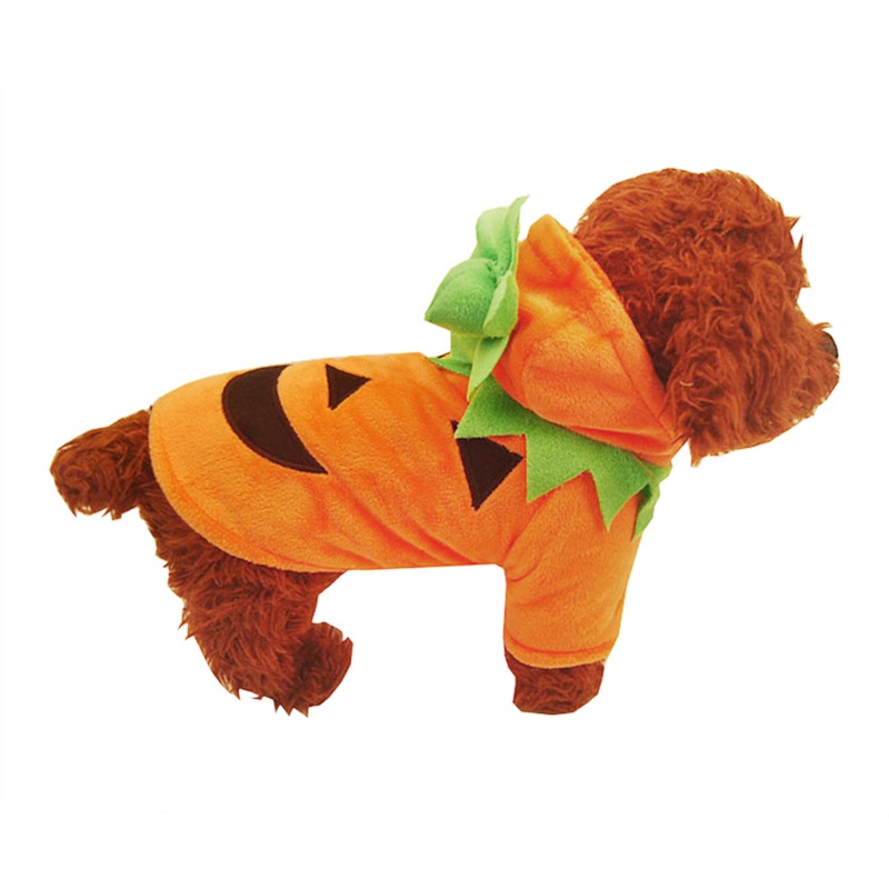 Halloween Pumpkin Costume for Your Pet